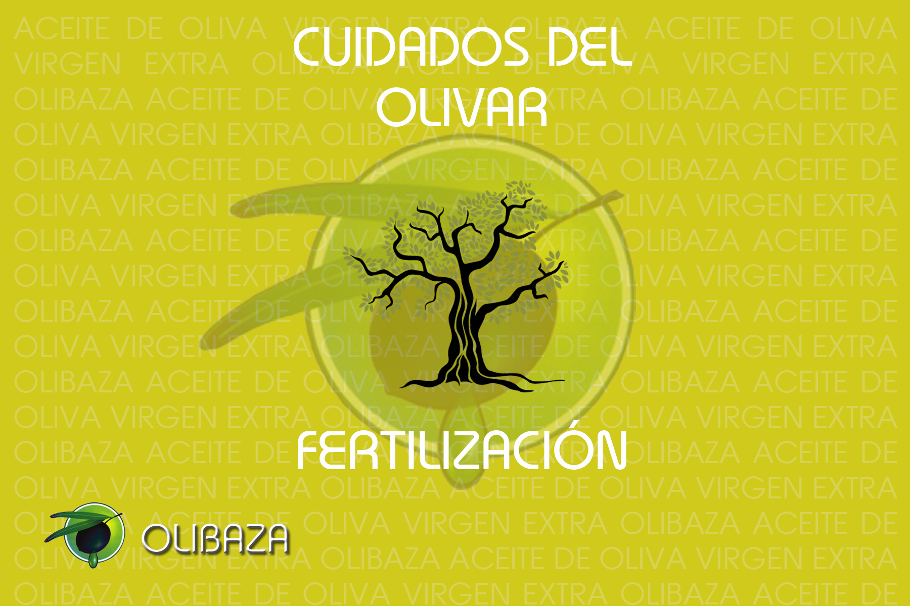 Cuidados del olivar 3: La Fertilización